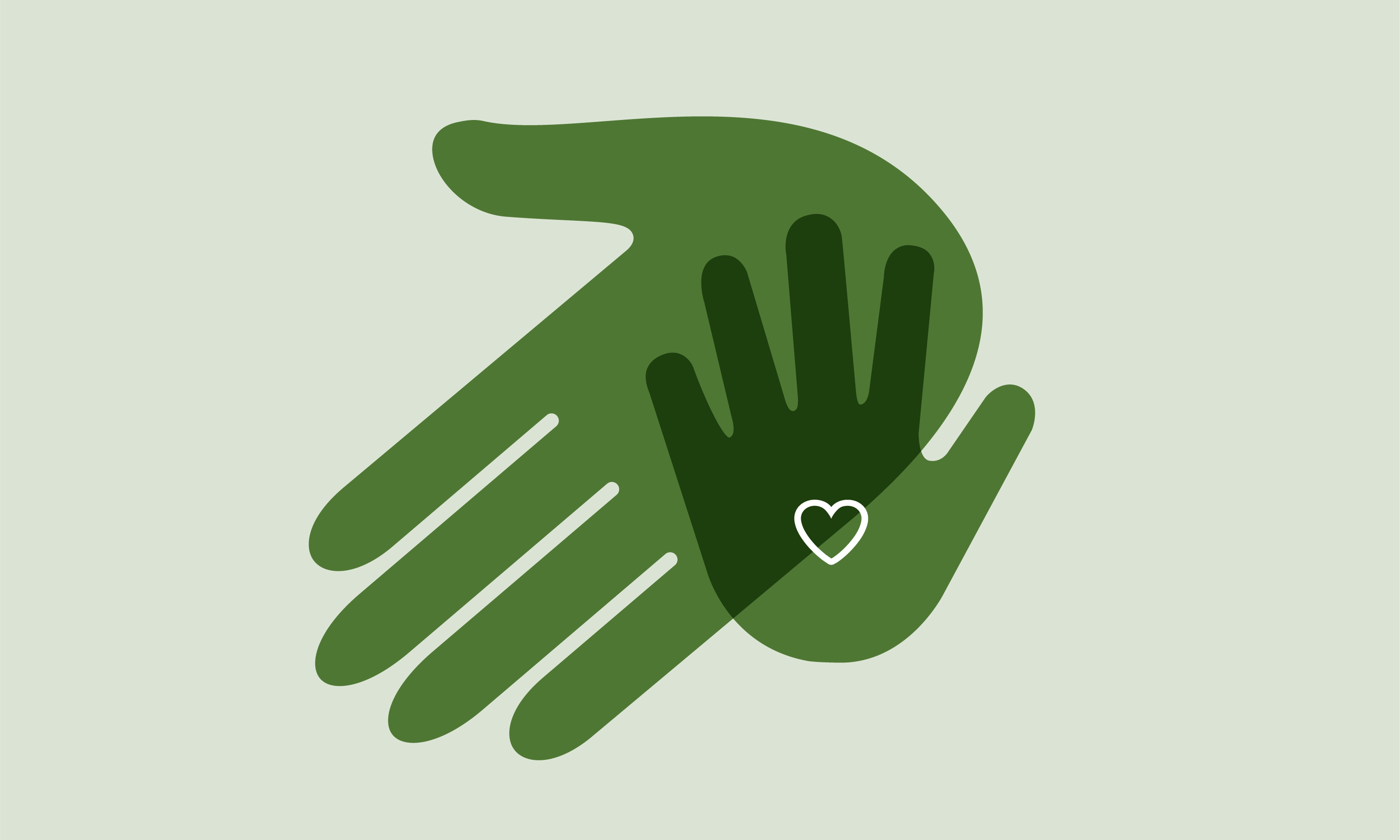 Parent and family supports